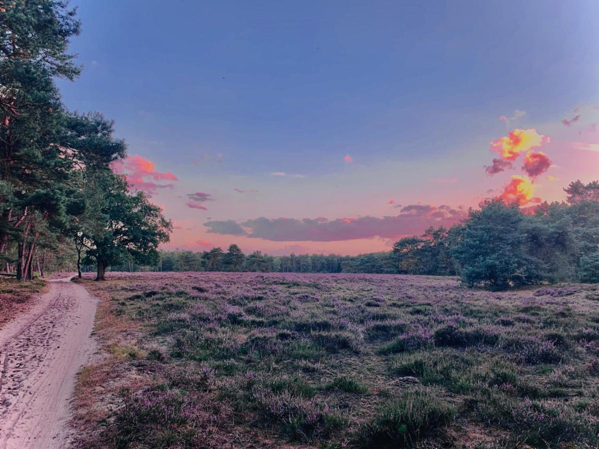 Rode Bosuil: Thuiskomen Op De Veluwe! Otterlo Zewnętrze zdjęcie