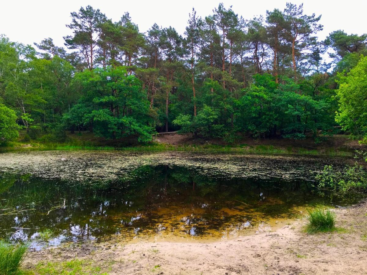 Rode Bosuil: Thuiskomen Op De Veluwe! Otterlo Zewnętrze zdjęcie